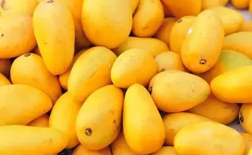 Mangga Ataulfo