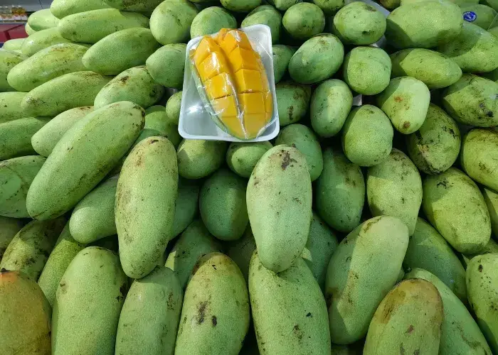 Mangga Golek