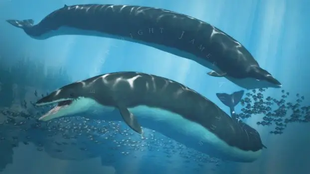 Basilosaurus