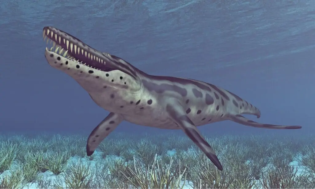 Kronosaurus