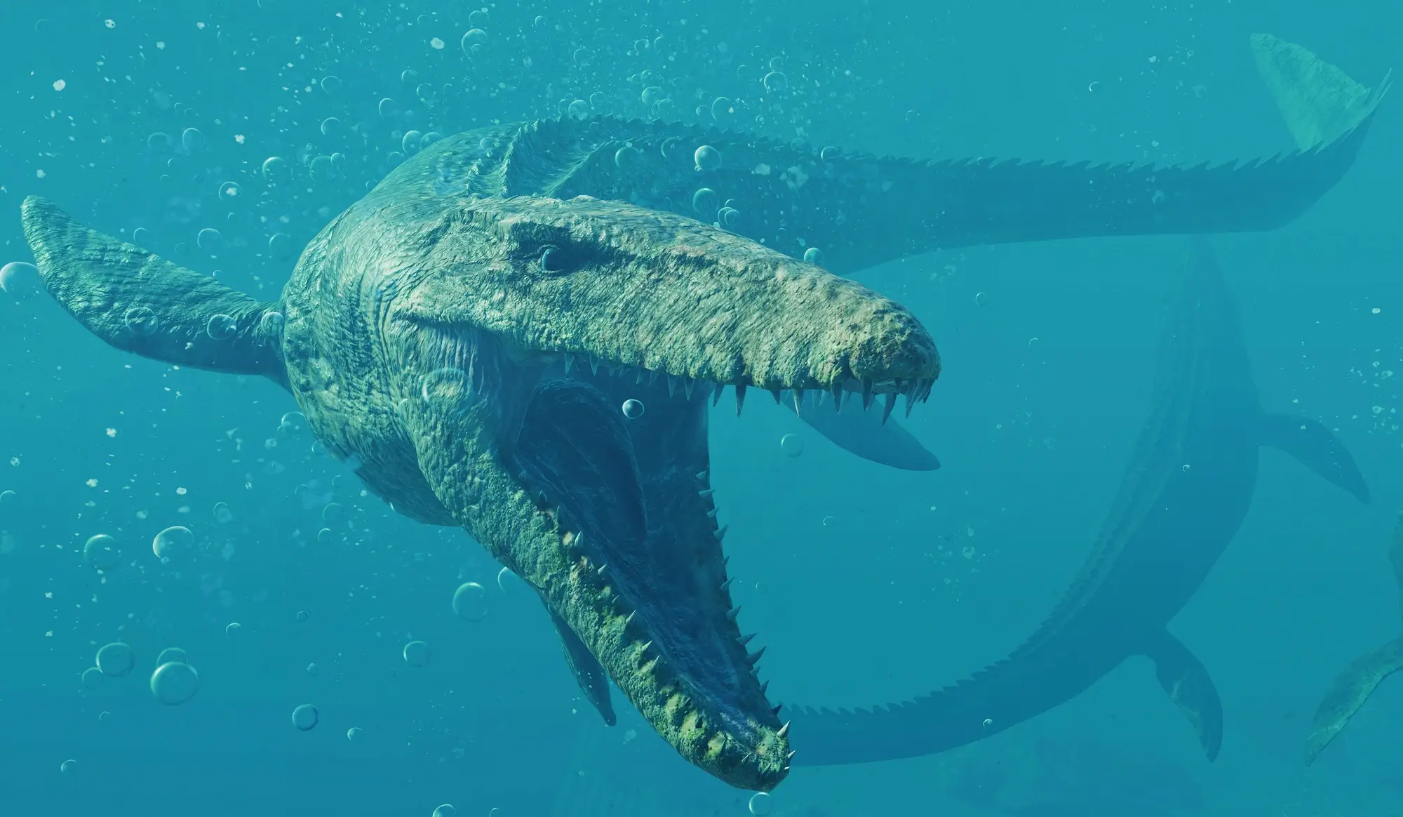 Mosasaurus