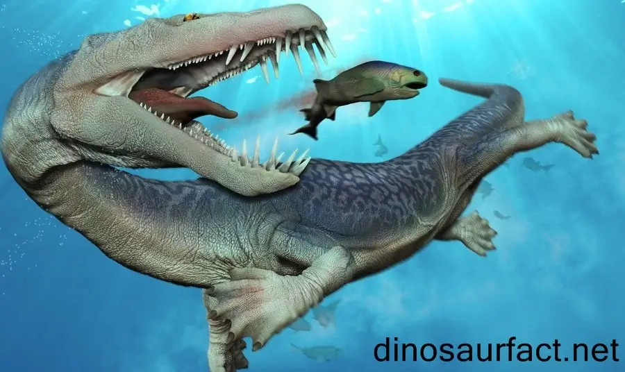 Nothosaurus