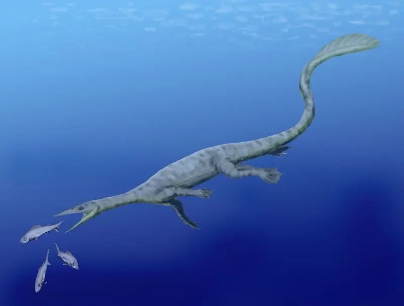 Thalattosaurus