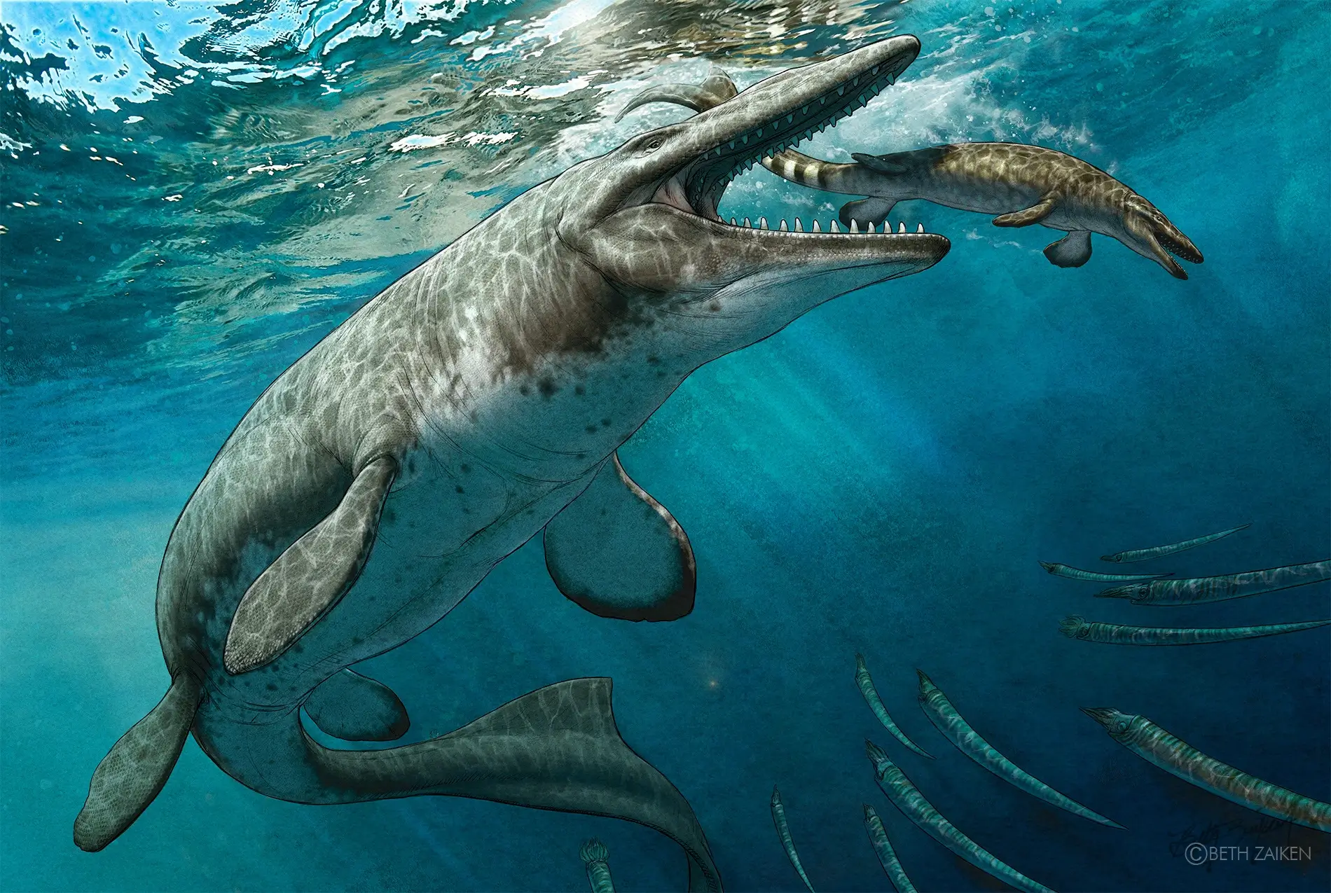 Tylosaurus