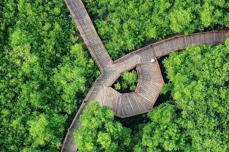 Kebun Raya Mangrove Gunung Anyar