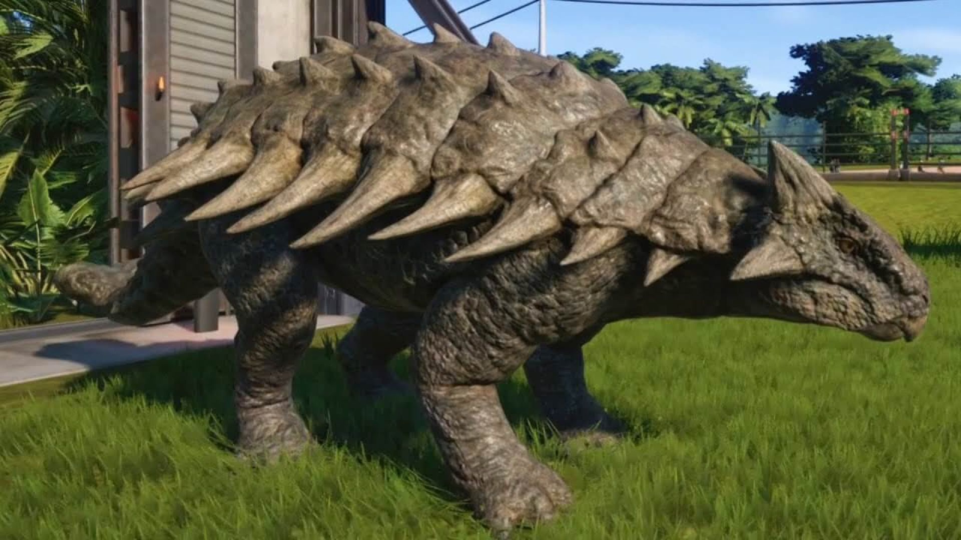 Ankylosaurus (1)