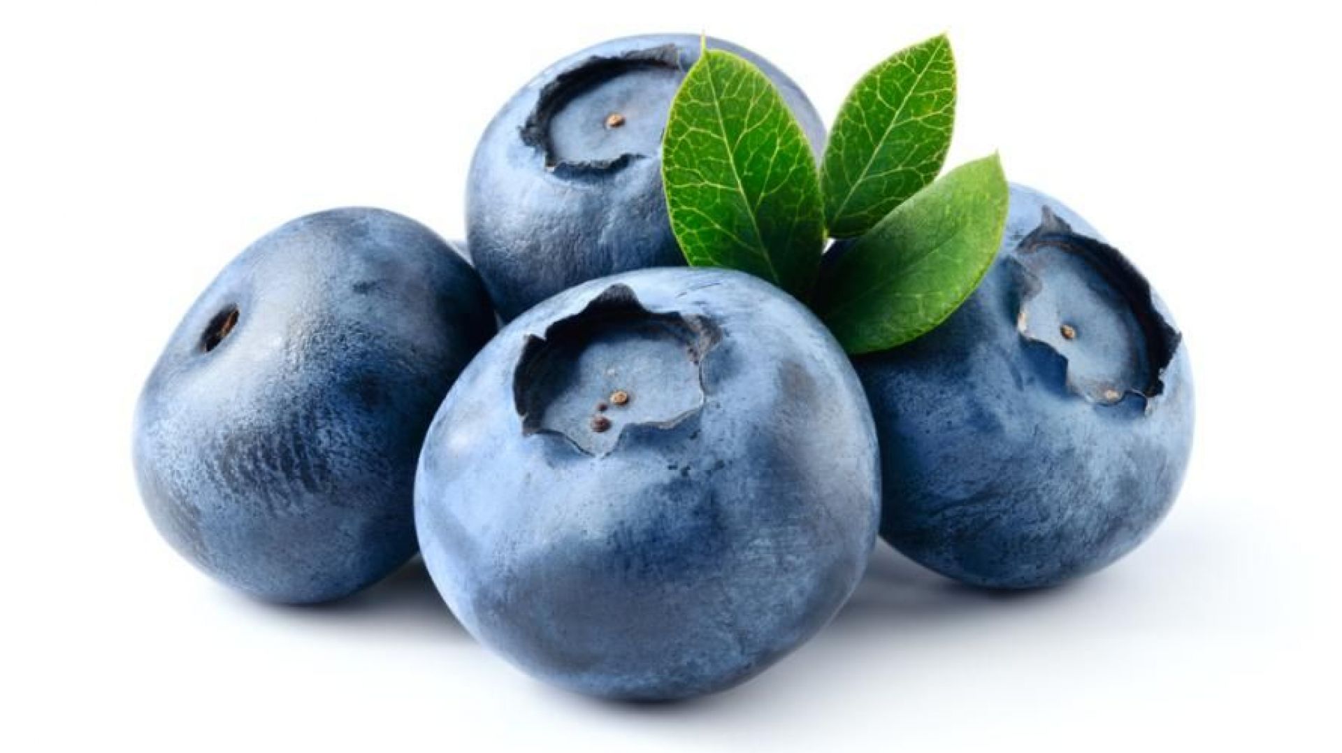 Bilberry