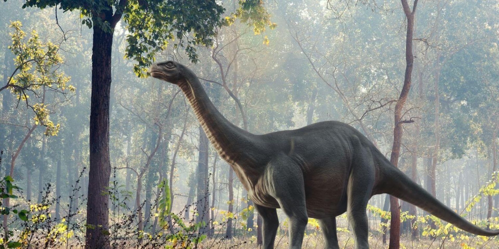 Dinosaurus Brontosaurus (1)