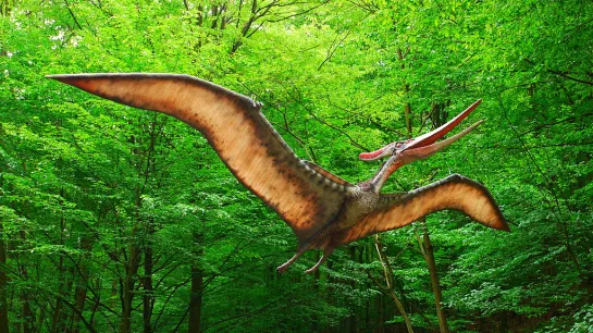 Pterodactyl