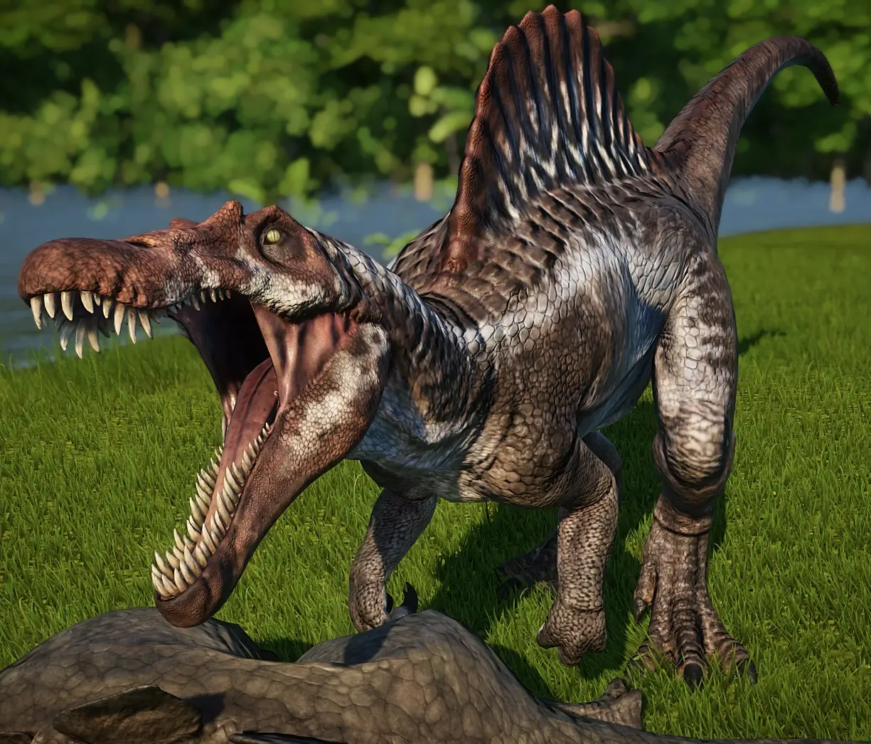Spinosaurus (1)