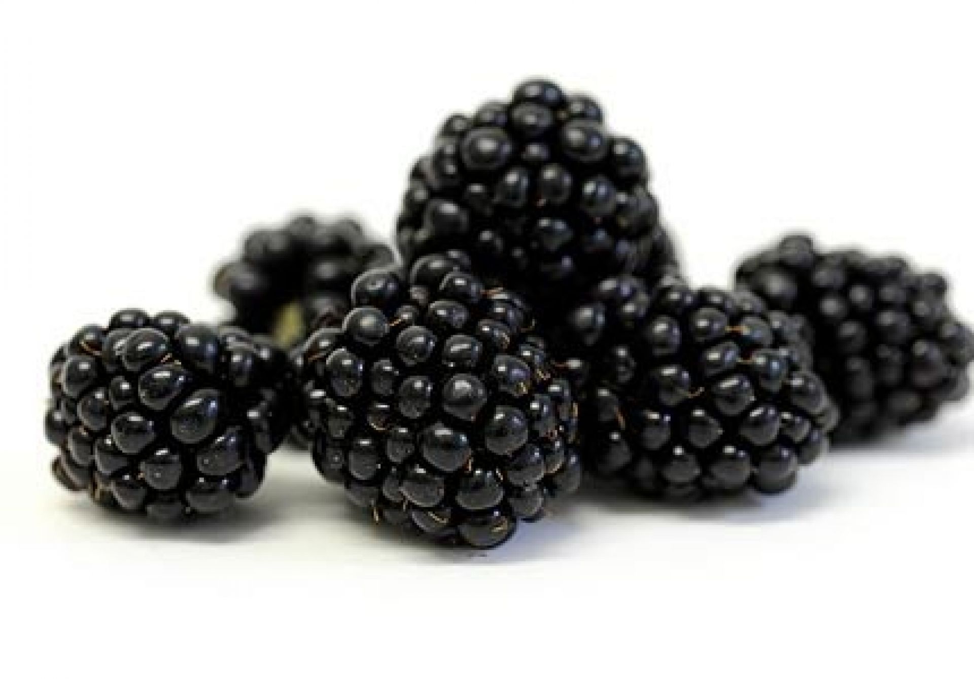 buah blackberry-Cara meningkatkan imun tubuh dengan cepat