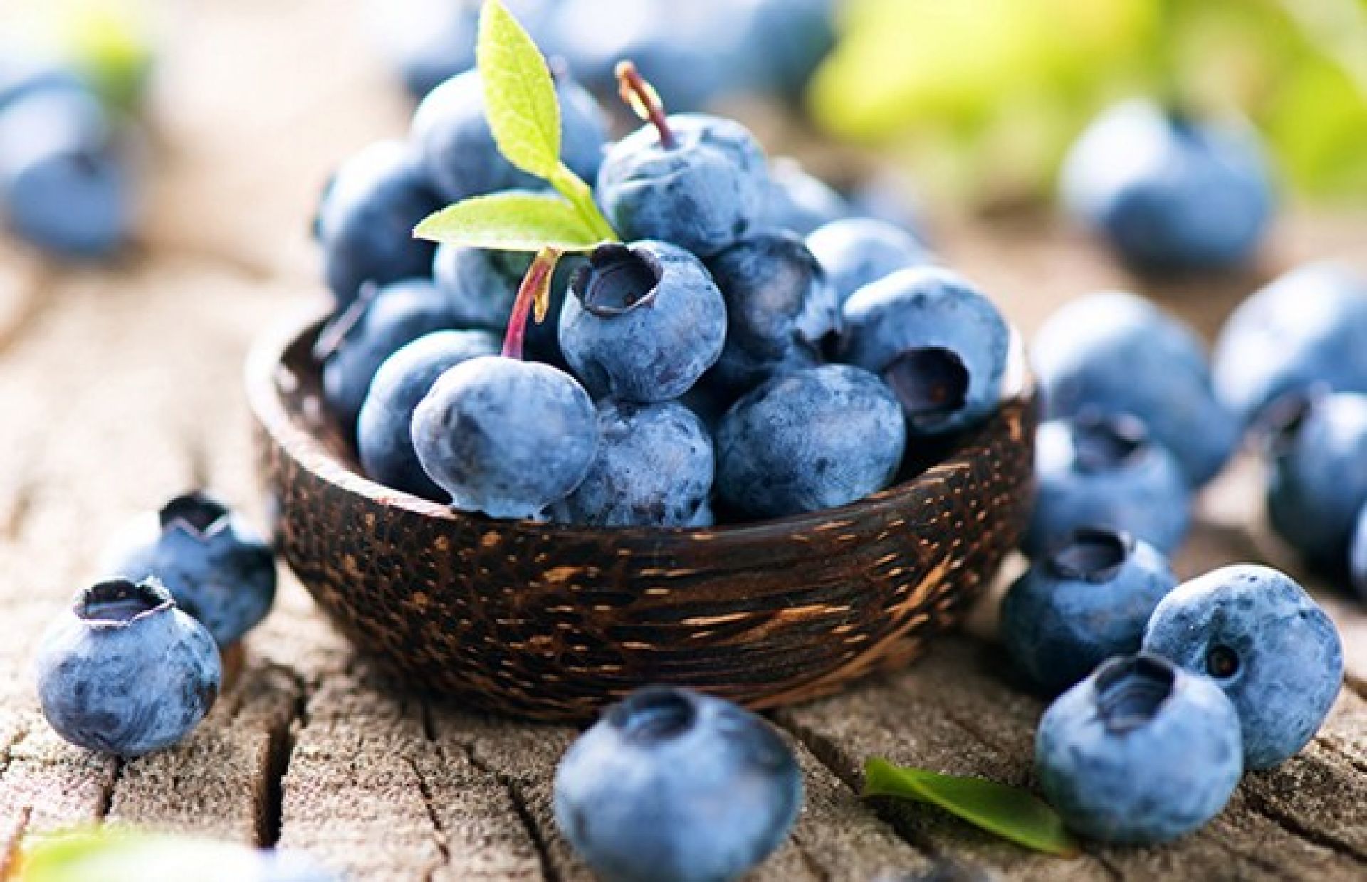 blueberry buah berry