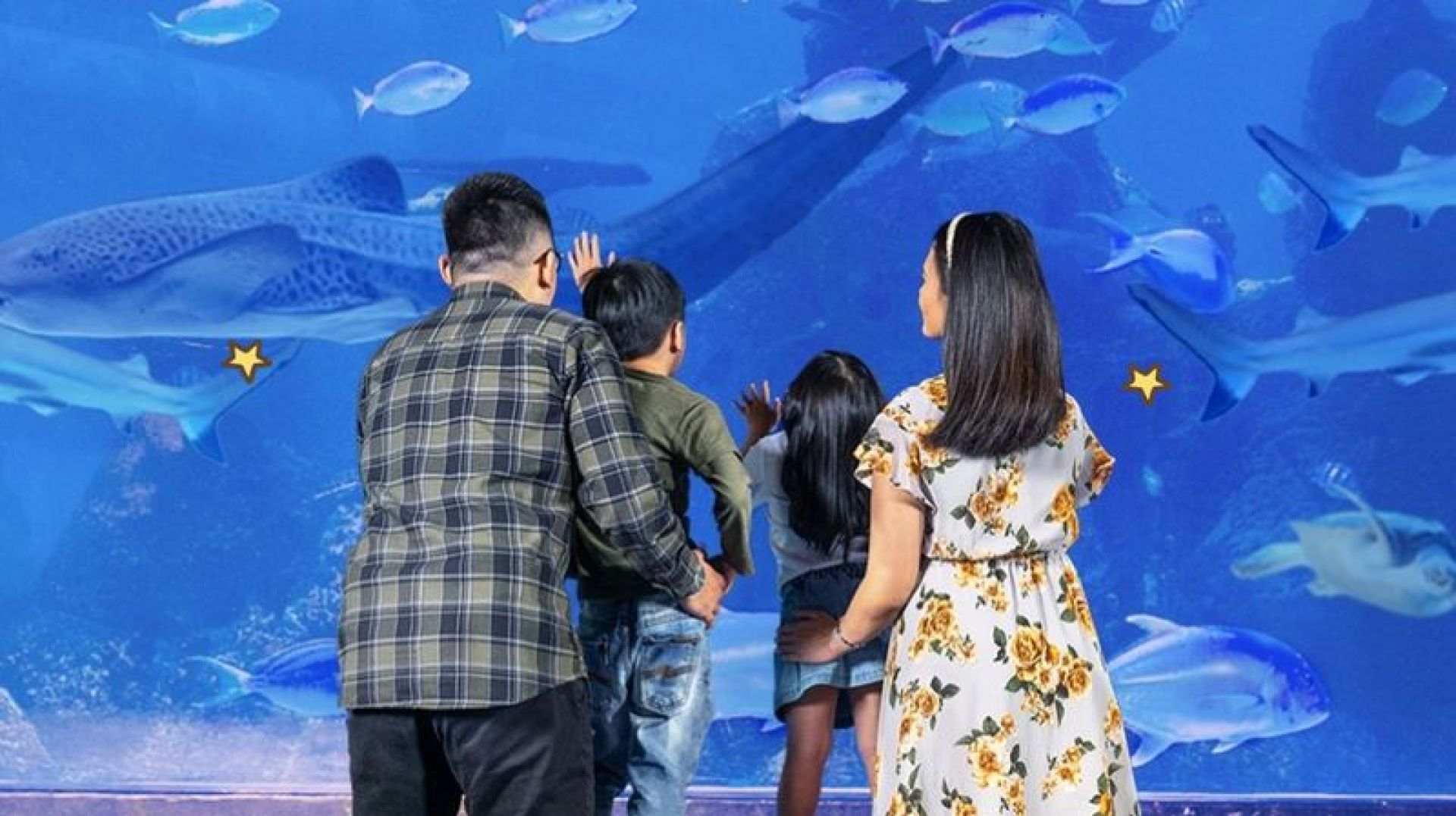 jakarta aquarium