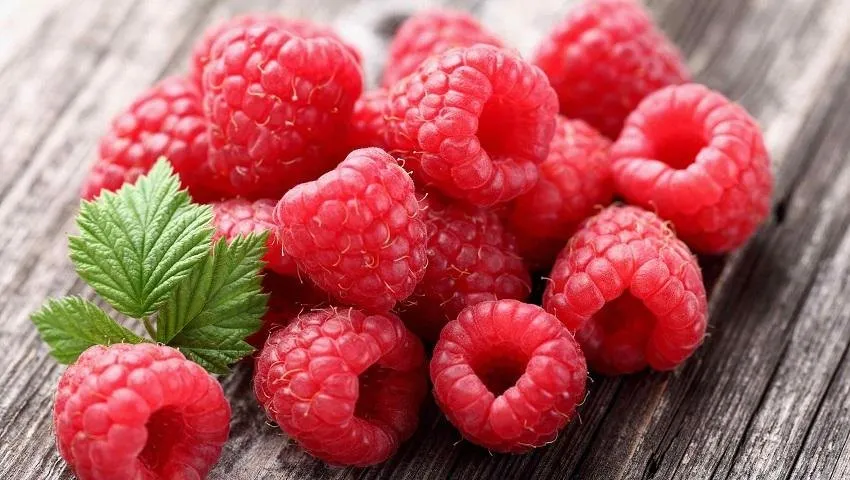 jenis buah berry raspberry