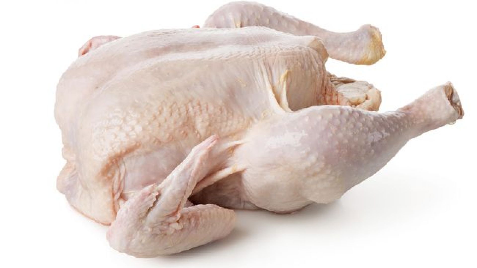 makanan ayam yang mengandung kolagen