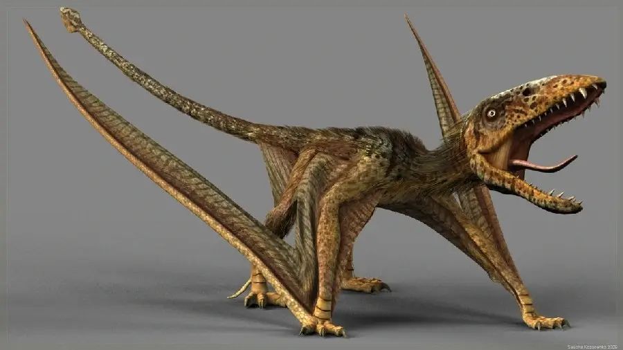 Dimorphodon