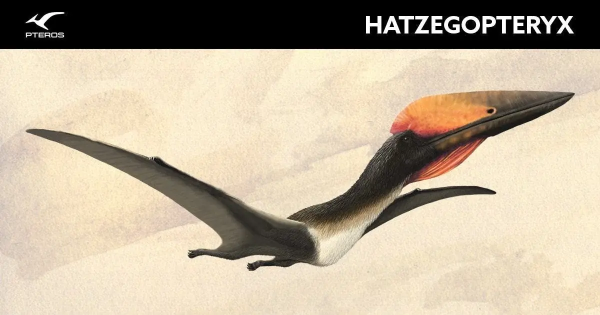 Hatzegopteryx