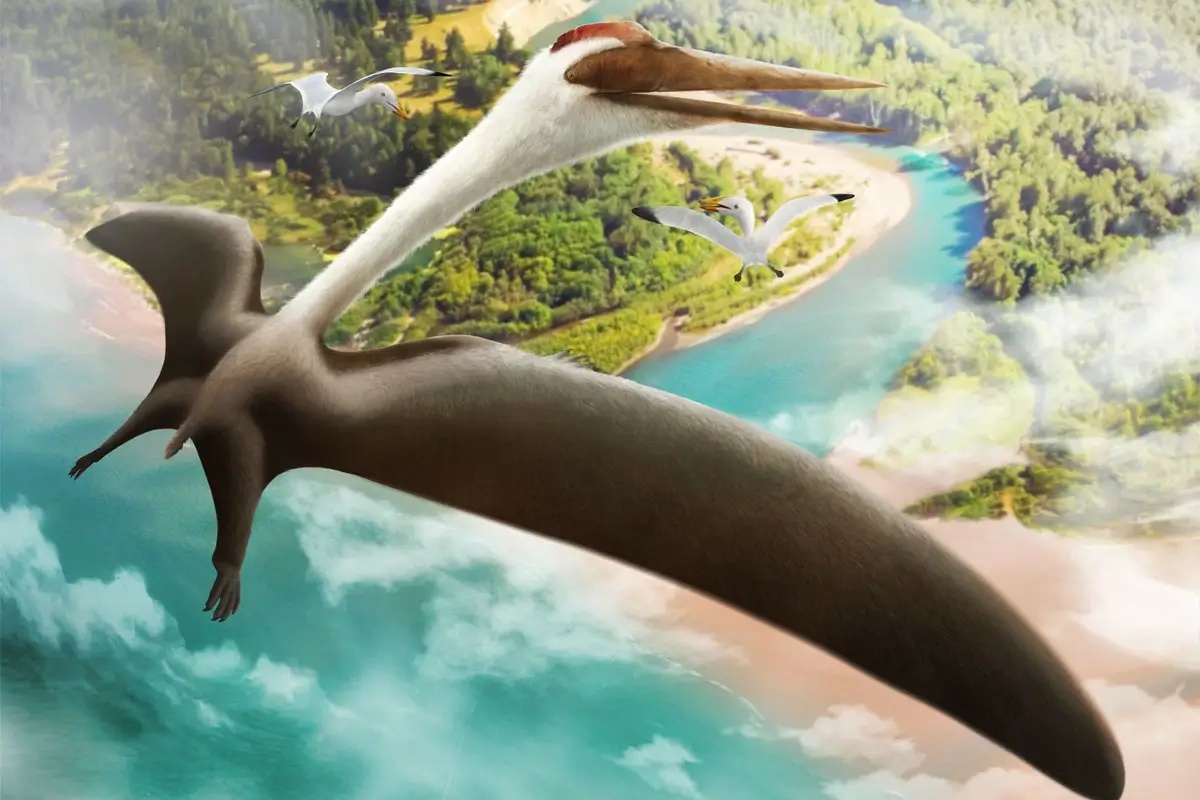 Quetzalcoatlus