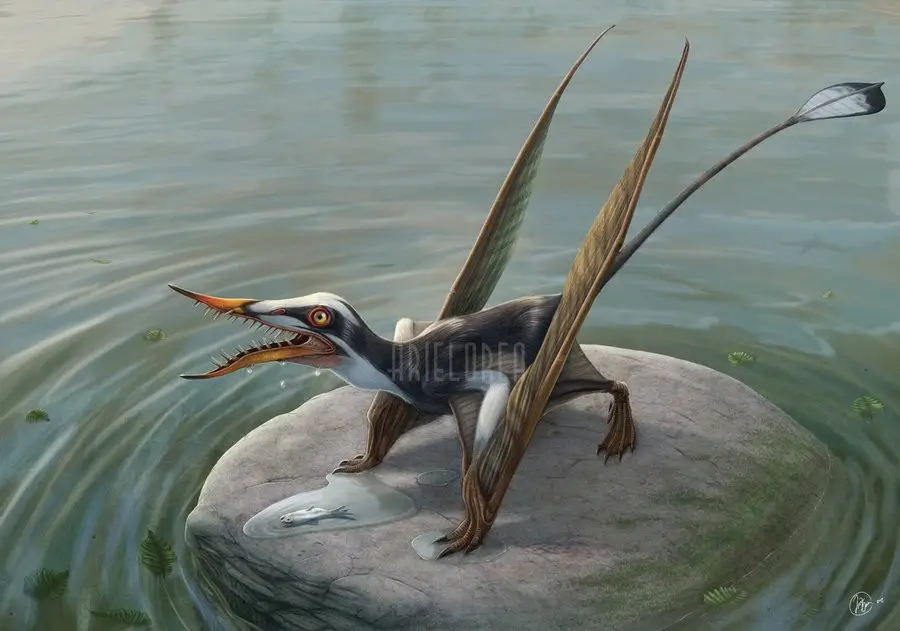 Rhamphorhynchus